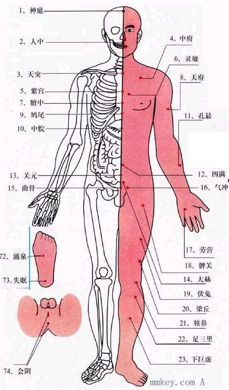 人身穴位圖|史上最全！人体最全穴位图及作用功效（建议收藏）